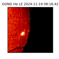 gong - 2024-11-19T08:16:42