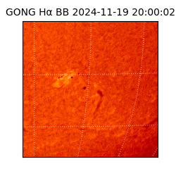 gong - 2024-11-19T20:00:02