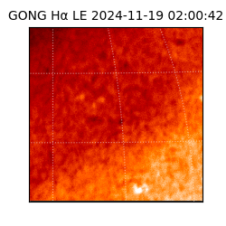 gong - 2024-11-19T02:00:42