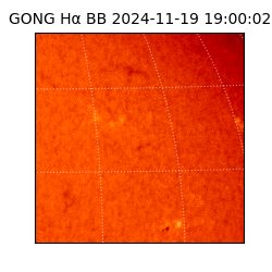gong - 2024-11-19T19:00:02