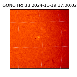gong - 2024-11-19T17:00:02