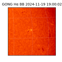 gong - 2024-11-19T19:00:02