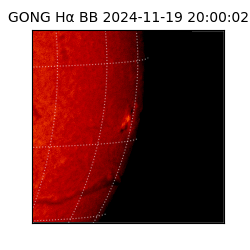 gong - 2024-11-19T20:00:02