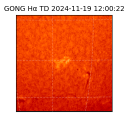 gong - 2024-11-19T12:00:22