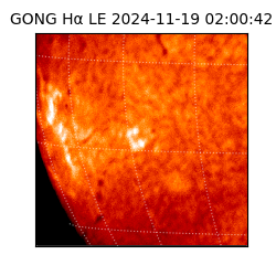 gong - 2024-11-19T02:00:42