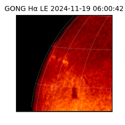 gong - 2024-11-19T06:00:42