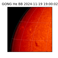 gong - 2024-11-19T19:00:02