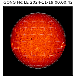 gong - 2024-11-19T00:00:42