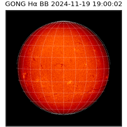 gong - 2024-11-19T19:00:02