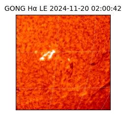 gong - 2024-11-20T02:00:42