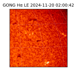 gong - 2024-11-20T02:00:42