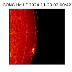 gong - 2024-11-20T02:00:42