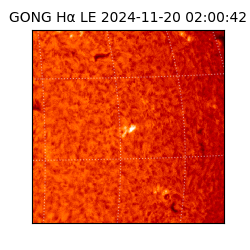 gong - 2024-11-20T02:00:42