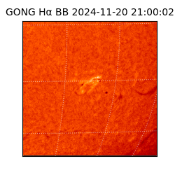 gong - 2024-11-20T21:00:02