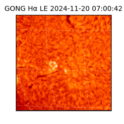 gong - 2024-11-20T07:00:42