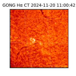 gong - 2024-11-20T11:00:42