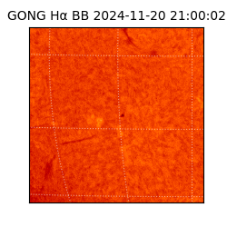 gong - 2024-11-20T21:00:02