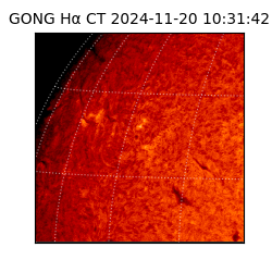 gong - 2024-11-20T10:31:42