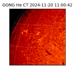 gong - 2024-11-20T11:00:42