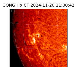 gong - 2024-11-20T11:00:42