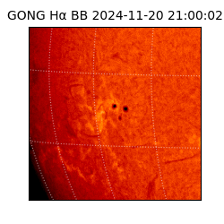gong - 2024-11-20T21:00:02
