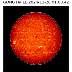 gong - 2024-11-20T01:00:42