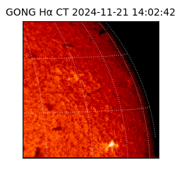 gong - 2024-11-21T14:02:42