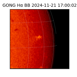 gong - 2024-11-21T17:00:02