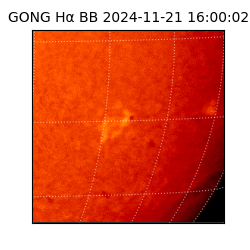 gong - 2024-11-21T16:00:02