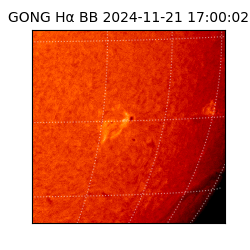 gong - 2024-11-21T17:00:02