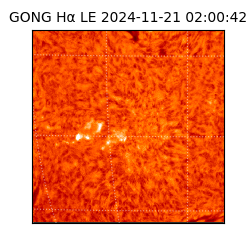 gong - 2024-11-21T02:00:42