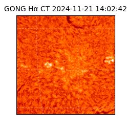 gong - 2024-11-21T14:02:42