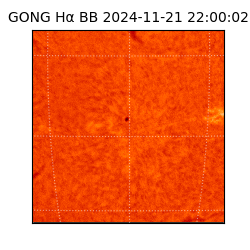 gong - 2024-11-21T22:00:02