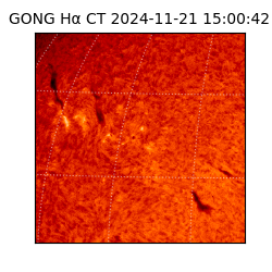 gong - 2024-11-21T15:00:42