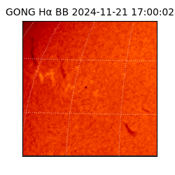 gong - 2024-11-21T17:00:02