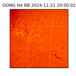 gong - 2024-11-21T20:00:02