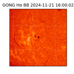 gong - 2024-11-21T16:00:02
