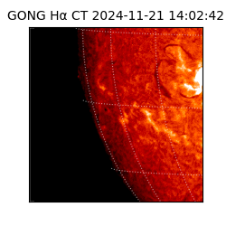 gong - 2024-11-21T14:02:42
