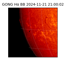 gong - 2024-11-21T21:00:02