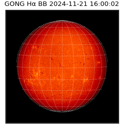 gong - 2024-11-21T16:00:02