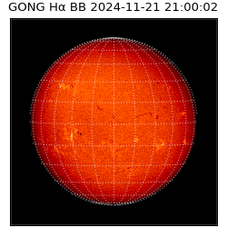 gong - 2024-11-21T21:00:02
