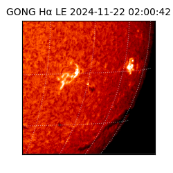 gong - 2024-11-22T02:00:42