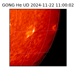 gong - 2024-11-22T11:00:02
