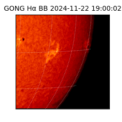 gong - 2024-11-22T19:00:02