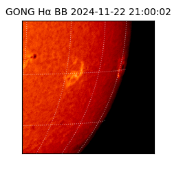 gong - 2024-11-22T21:00:02