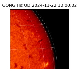 gong - 2024-11-22T10:00:02