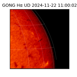 gong - 2024-11-22T11:00:02