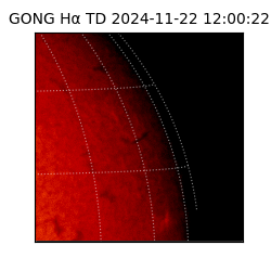gong - 2024-11-22T12:00:22