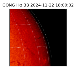 gong - 2024-11-22T18:00:02