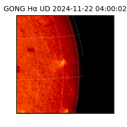 gong - 2024-11-22T04:00:02